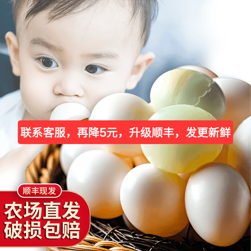【顺丰保鲜】20/40枚大号农家散养鲜鸽子蛋约22g/枚 孕妇加营养10枚