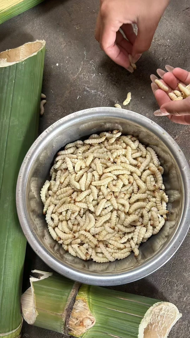 山咔咔云南特产纯干无冰竹虫500/1000g包邮到家生鲜不退货