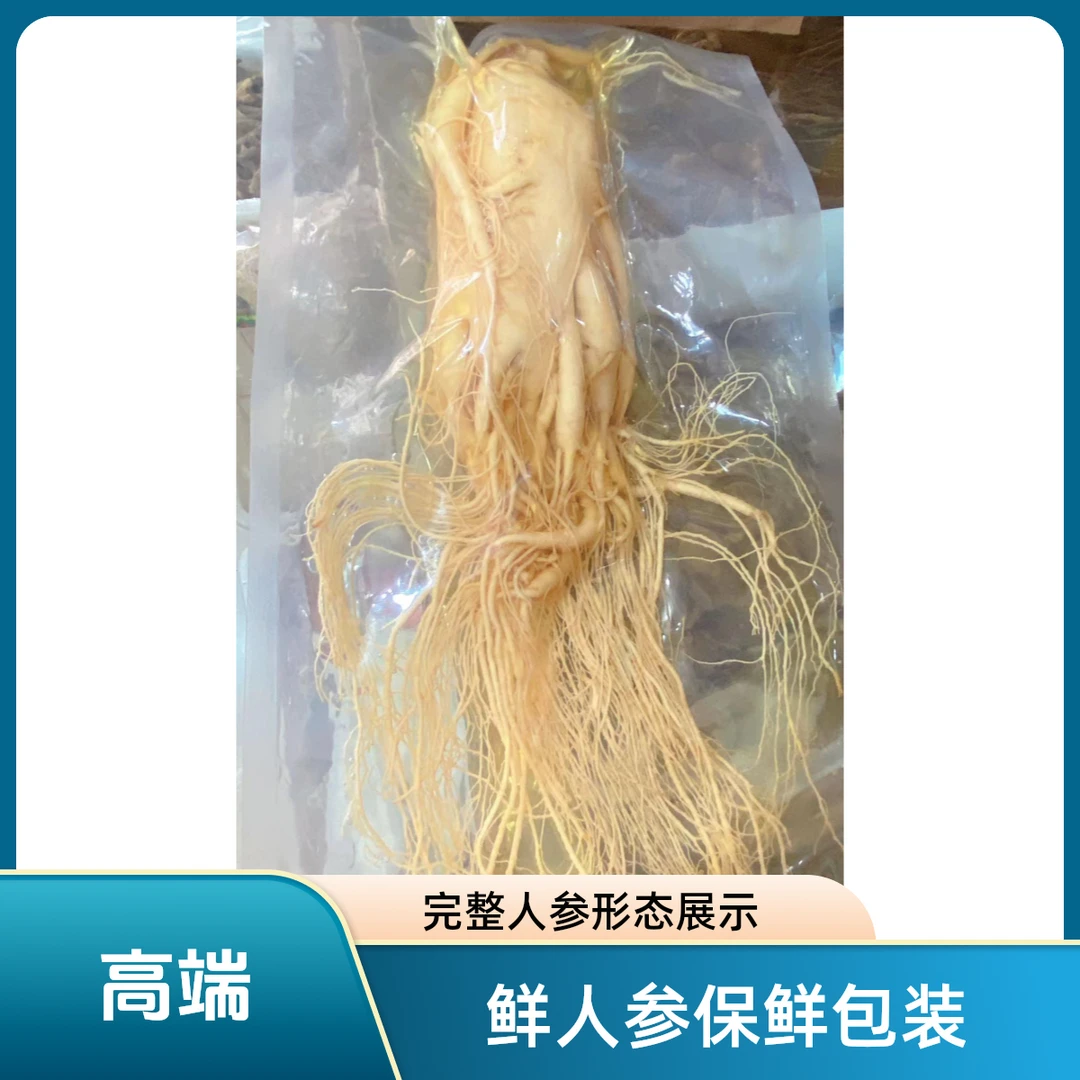 鲜人参正宗长白山精品大保鲜人参产地品质带酒佳品泡酒滋补传统
