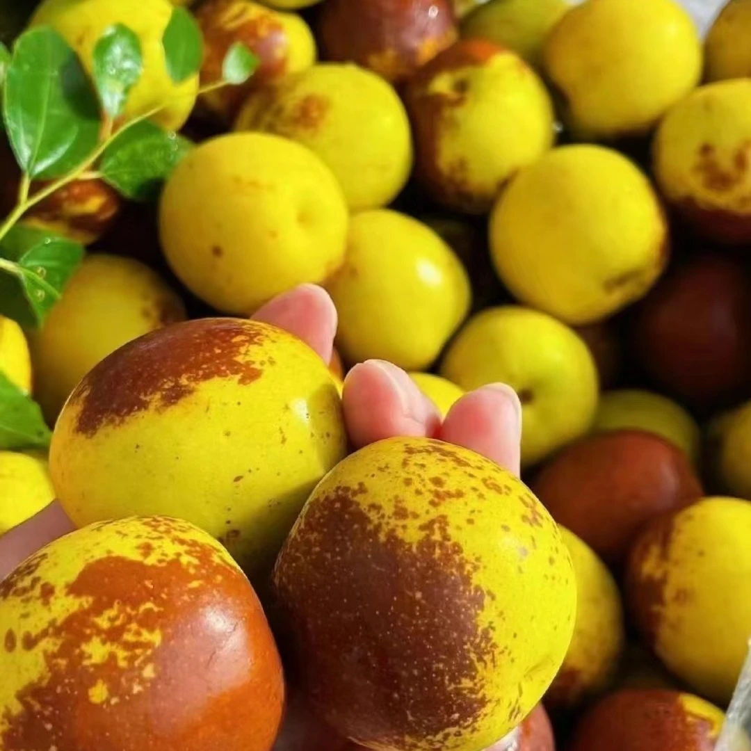 酥脆甜自然熟冬枣枣王一斤