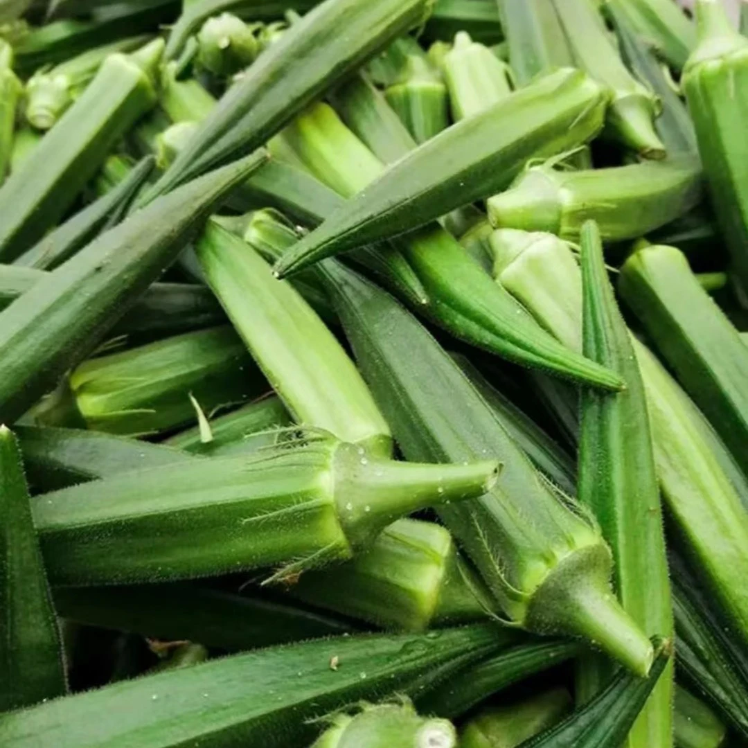 新疆包邮秋葵蔬菜种子红秋葵种籽春秋播种高产耐热耐旱阳易种庭院