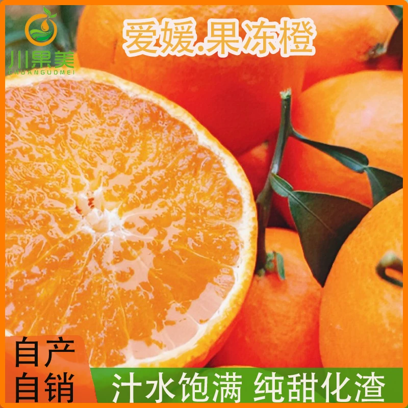川果美爱媛果冻橙爱媛38号新鲜香甜皮薄采摘充足多汁产自果皮细嫩