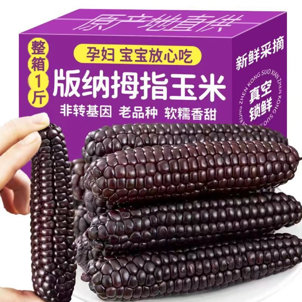 紫色宝宝拇指小玉米黑玉米紫糯拇指小玉米清甜香糯真空包装小玉米