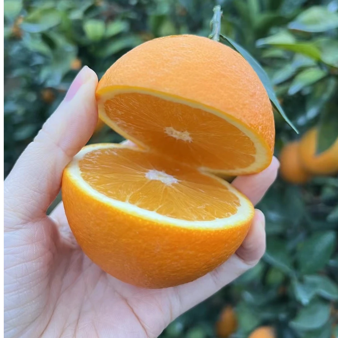 无品牌赣南脐橙果园直供20斤装