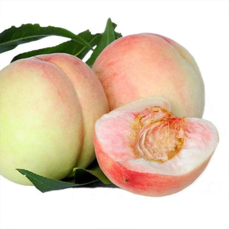 鲜·桃子 约500g