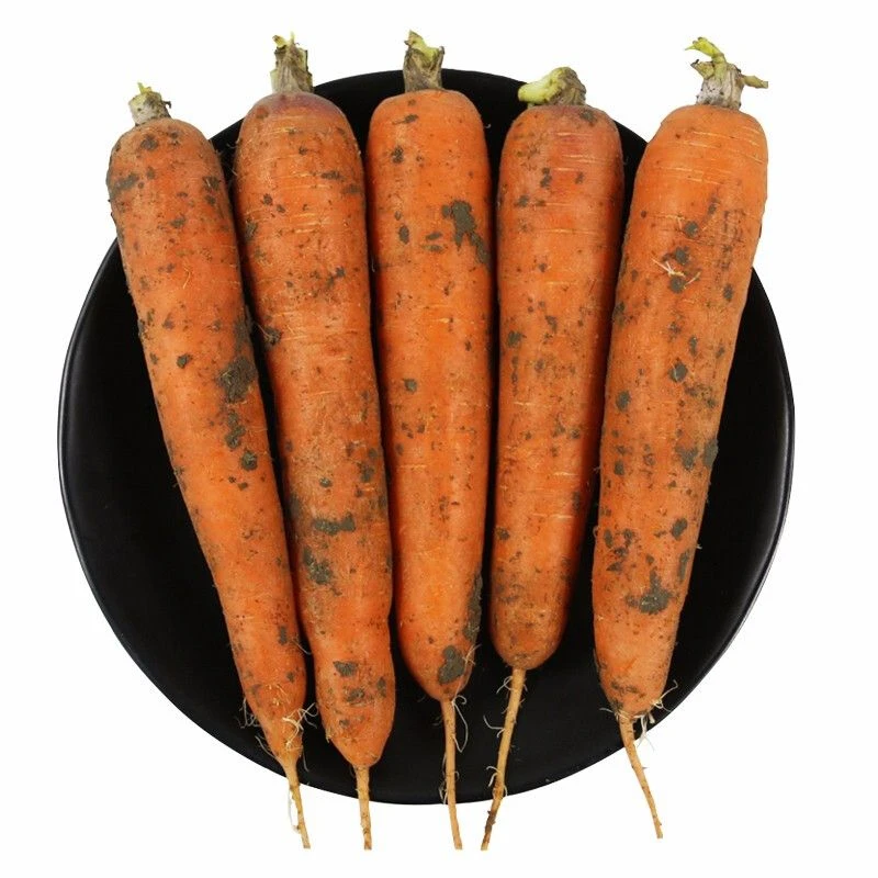 新鲜带泥胡萝卜-500g