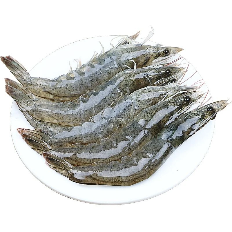 10g 鲜活·基围虾