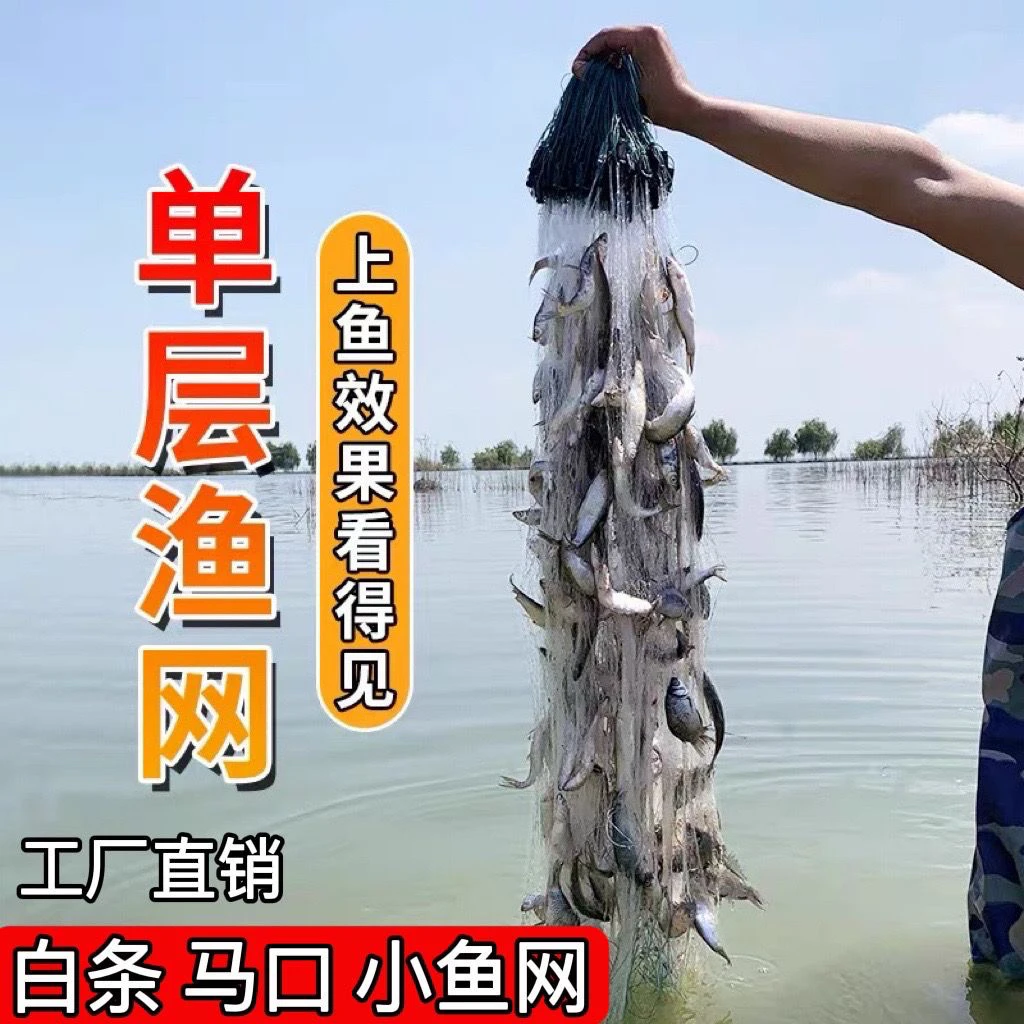 单层粘网白条网鲫鱼网柔丝软丝捕鱼网浮网沉网渔网