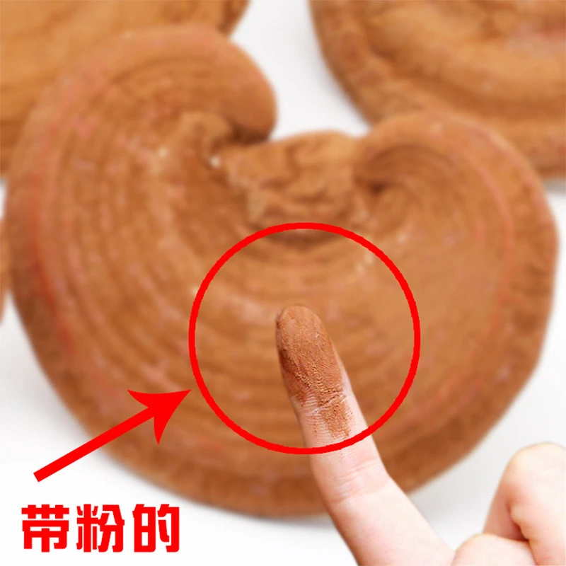 【多单优先】整朵灵芝带孢子粉