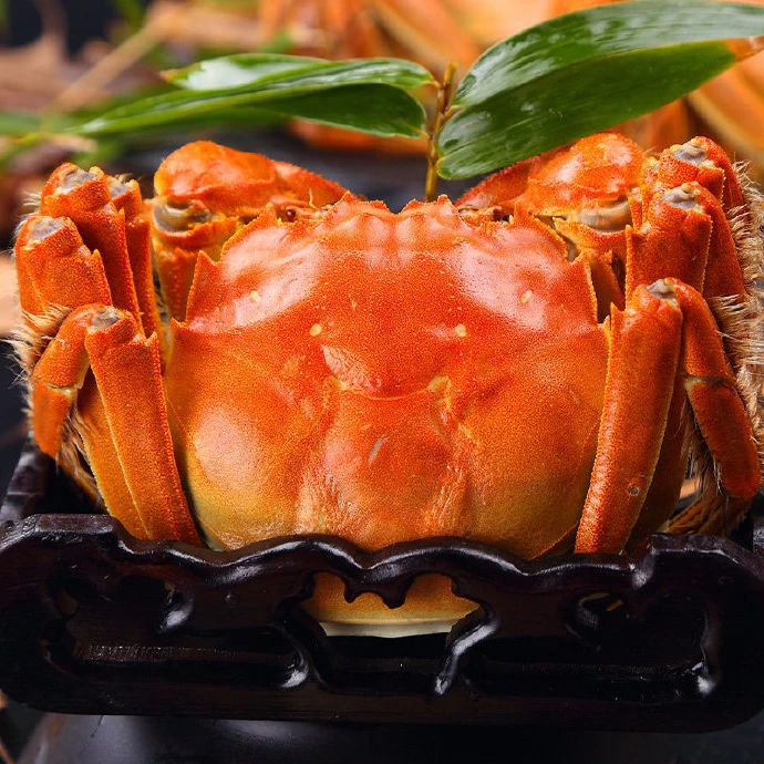 【精品大母蟹】苏州大闸蟹活蟹螃蟹全母蟹4.1-3.8两  8加2共10只