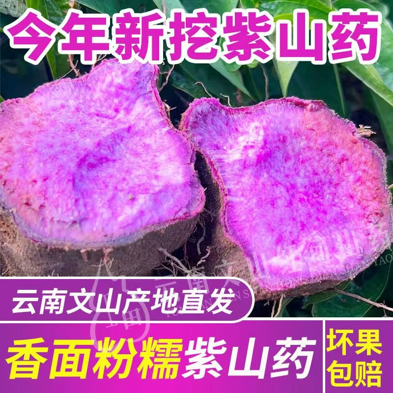 云南紫山药含花青素正宗农家特产粗粮脆皮生吃的拉丝现挖新鲜山药