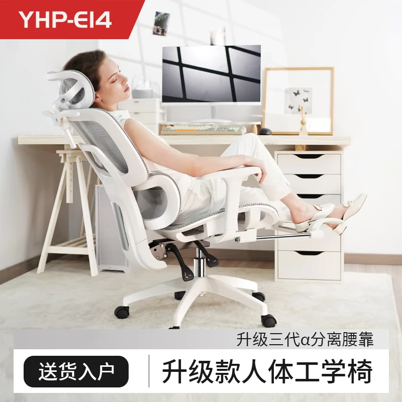 人体工学椅家用电竞椅子办公室电脑久坐舒适靠背座椅书房电脑椅