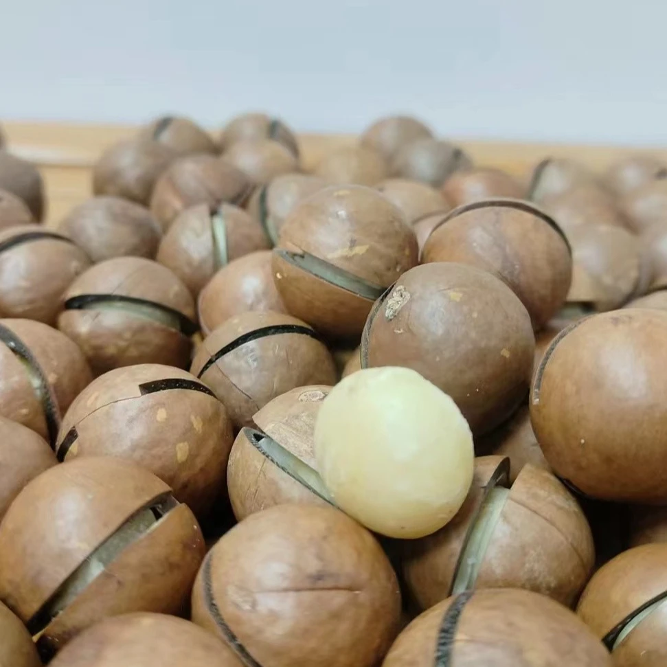 大大号夏威夷果500g包邮