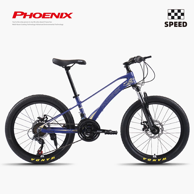 Phoenix/凤凰儿童山地自行车镁合金大童8岁以上小孩学生女孩男孩