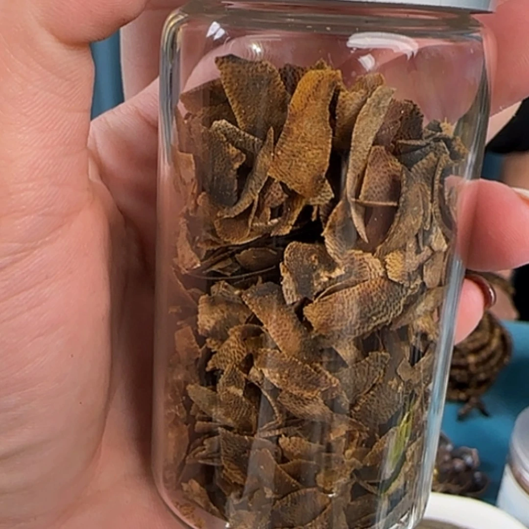 【闪购商品】沉香摆件乌身圆叶切片