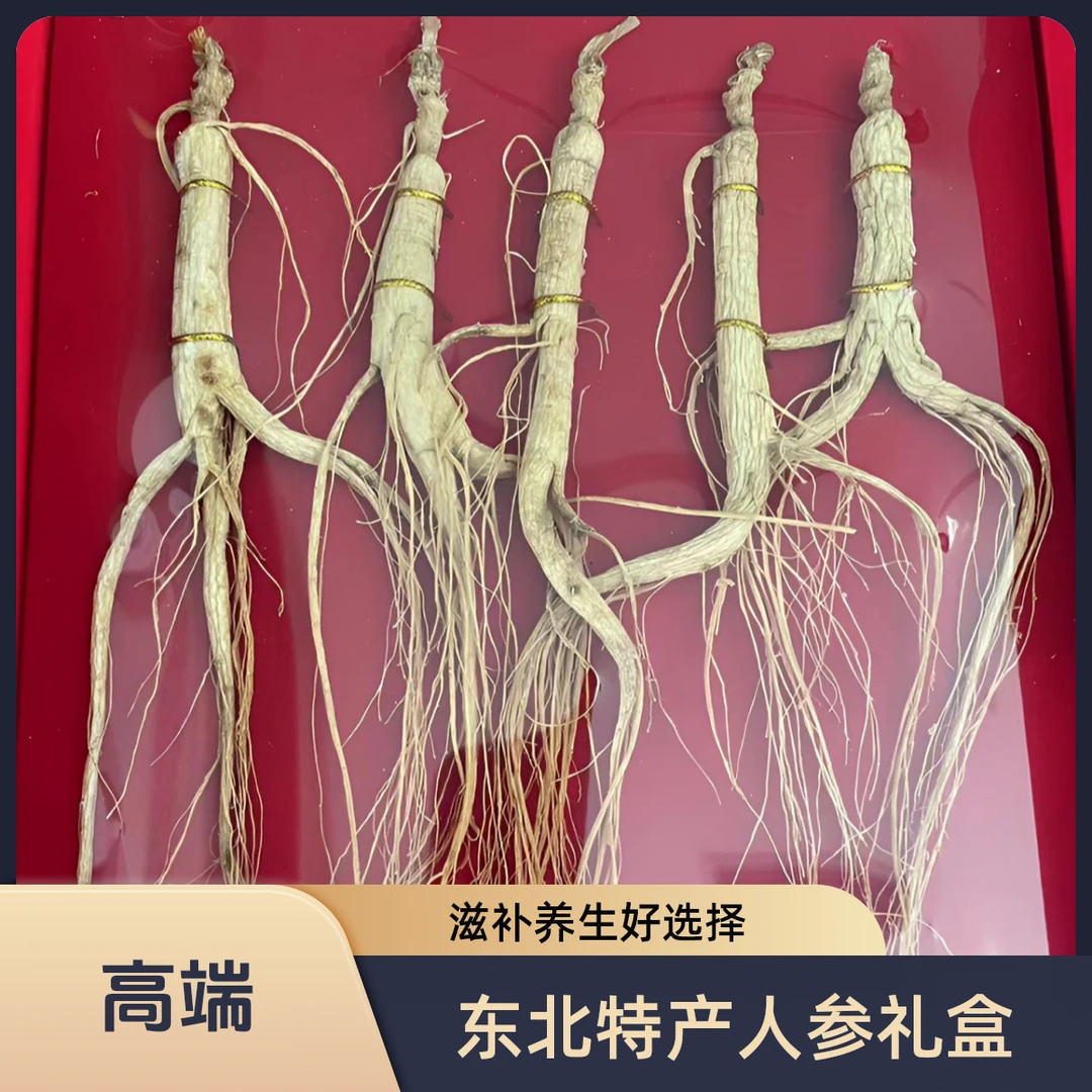 【送礼】长白山林下参13-15年自然生长滋补佳品泡酒泡水煲汤 5支/盒