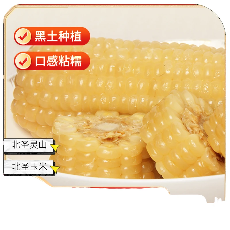北圣灵山甜糯玉米300-340克特大棒真空包装甜糯玉米包邮8根黑土地