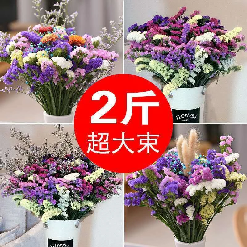 勿忘我真花干花花束云南天然风干装饰摆件客厅大束插花装饰摆件