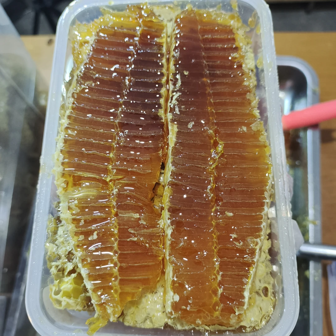 土蜂蜜巢蜜一年取一次