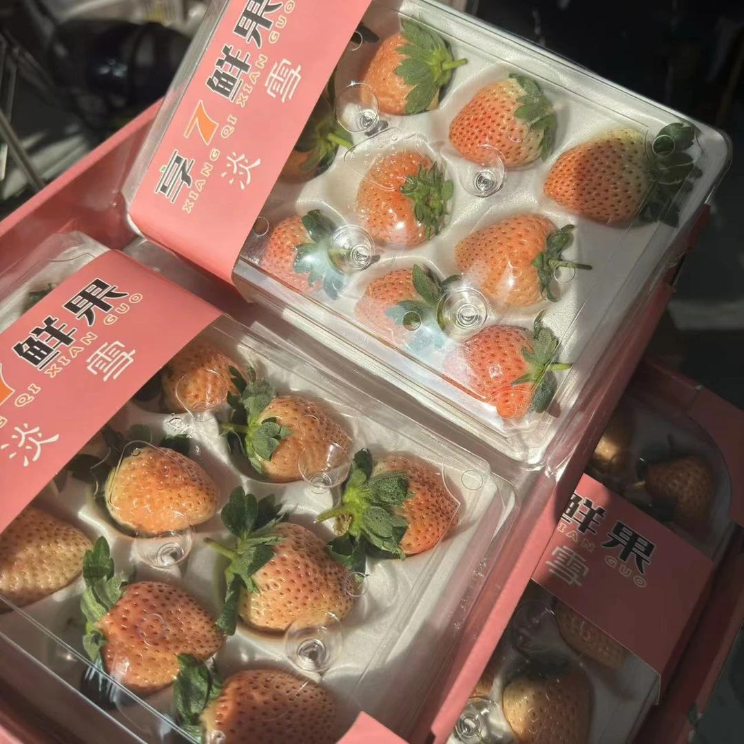 【淡雪】淡雪草莓礼盒装净重 单盒250g-300g