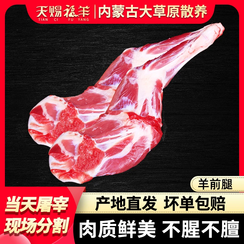 带骨羔羊前腿-内蒙草原羊散养优质羔羊肉-清炖红烧煲汤 牧场直供