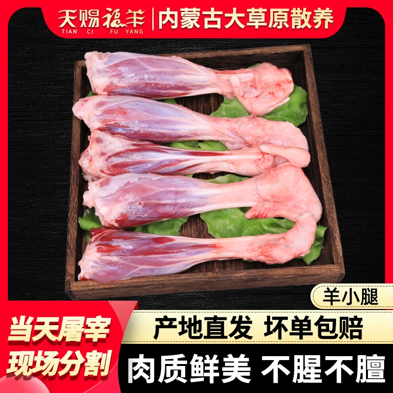 羊小腿-内蒙古草原放养羔羊-牧场散养正宗原味 新鲜屠宰 腥膻包赔