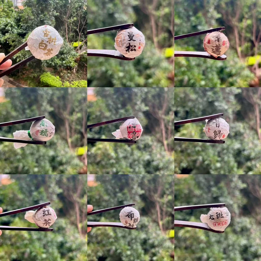 新人体验试拆【许愿+对碰+三对+清台】对对碰普洱茶龙珠