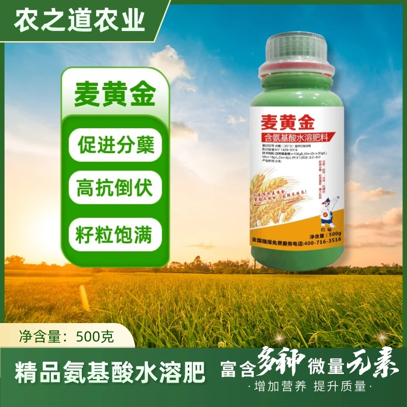 精品【麦黄金】农业氨基酸水溶肥产品促进分蘖高抗倒伏籽粒饱满灌浆