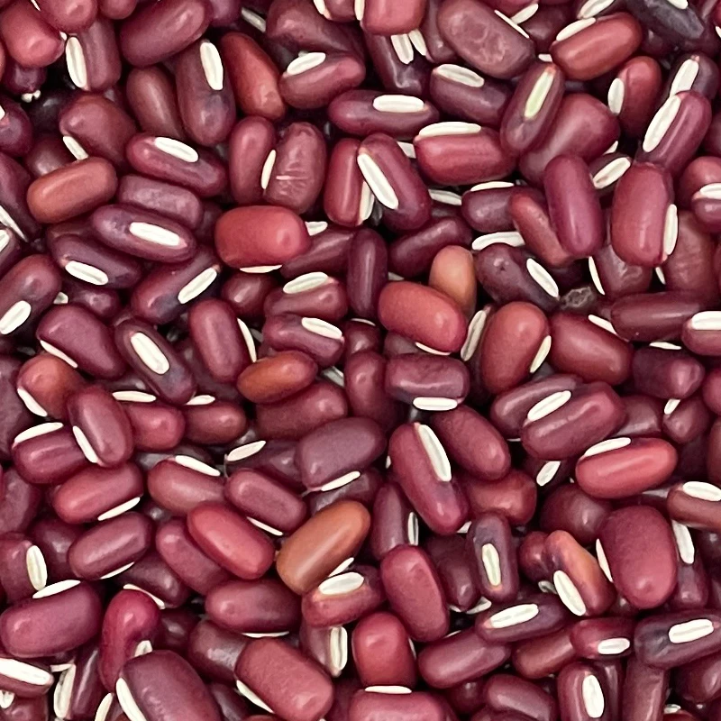 本土老品种赤小豆900克250克