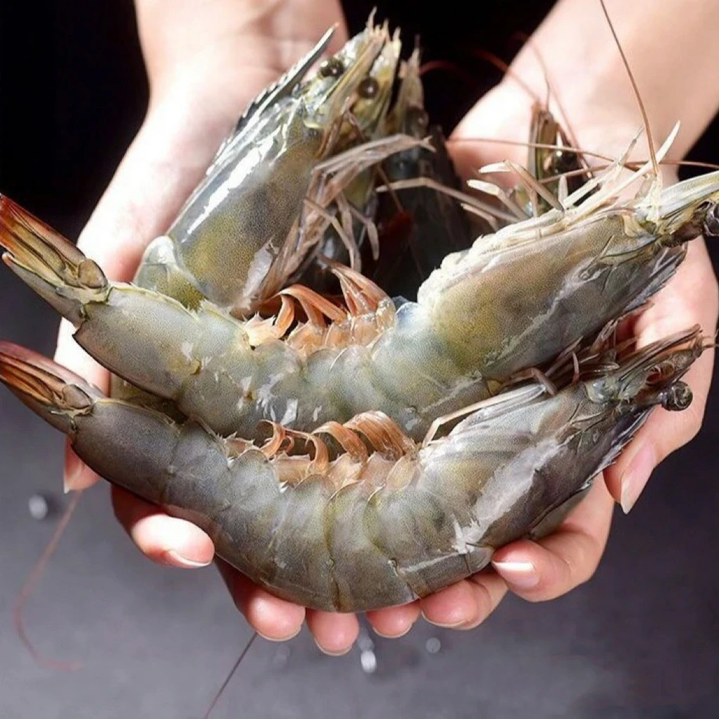 海鲜大虾20-30规格 肉质鲜甜 原盒整箱  净重3.3斤/盒 顺丰包邮