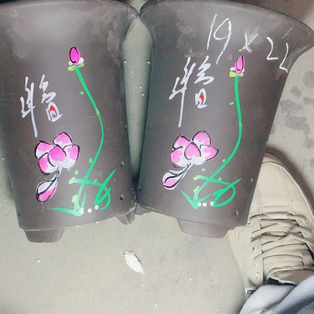 【闪购商品】紫砂花盆