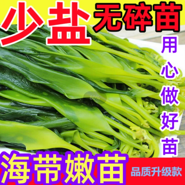 【娇爷专属】霞浦盐渍海带苗【少盐升级】鲜嫩滑爽 300g/包