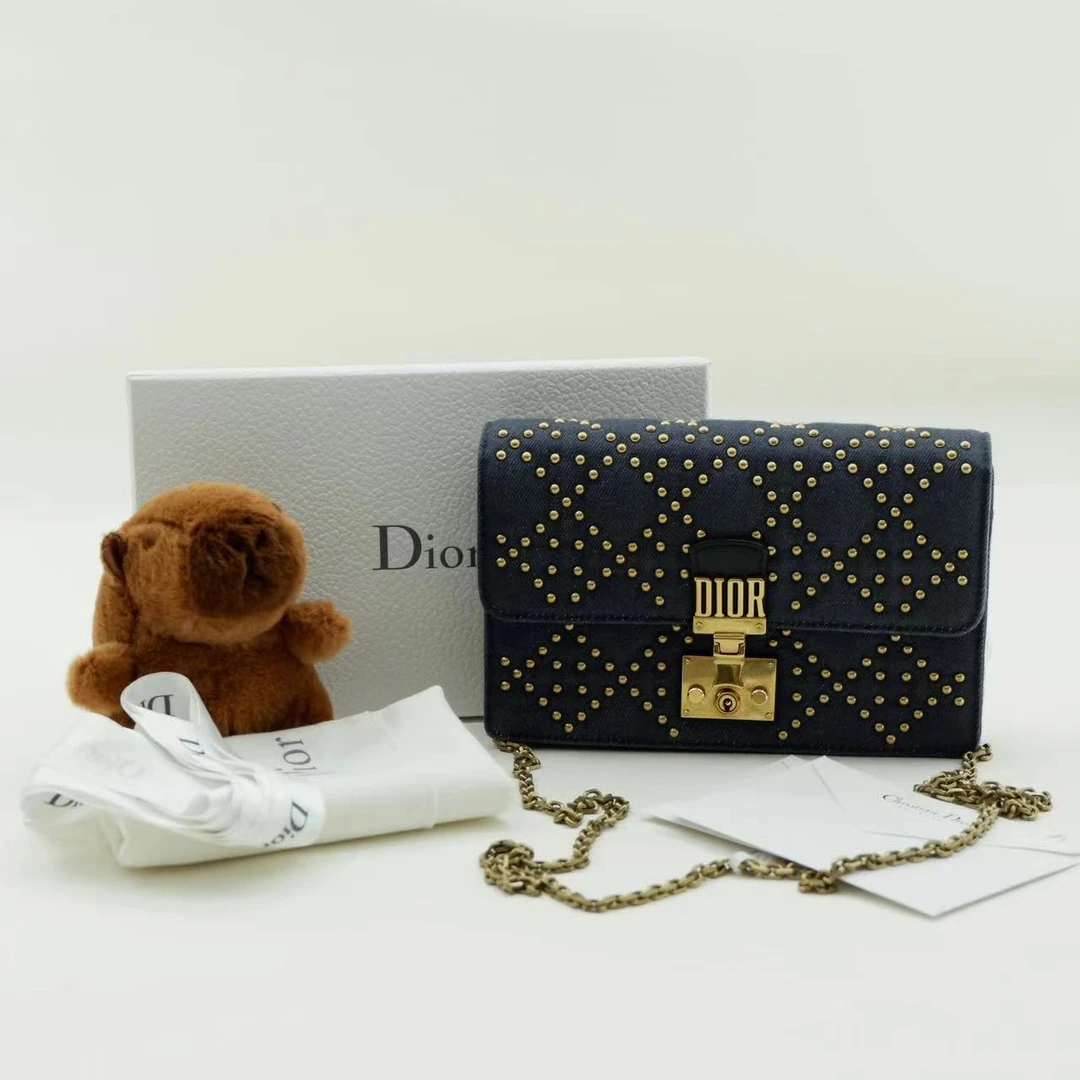 95新 DIOR/迪奥 addict单肩包/S240913004