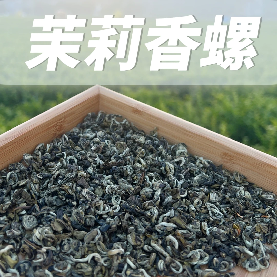 [浓酽煞口] 茉莉香螺 浓香耐泡浓酽沙口 六窨家庭口粮250克/桶