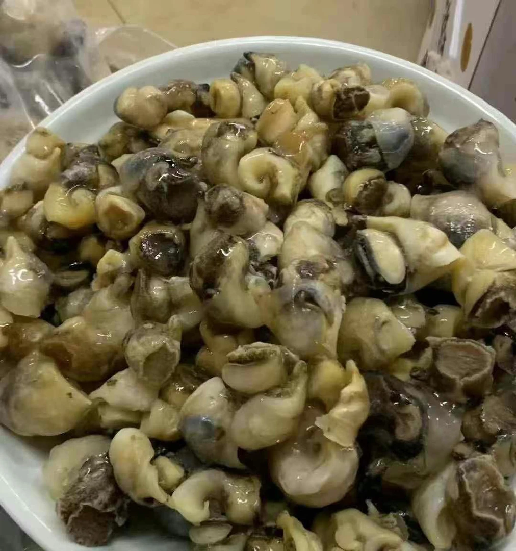 大螺肉一包2斤装