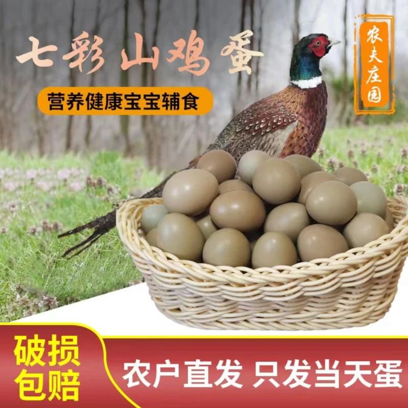30枚60枚好吃七彩山鸡蛋农家野山鸡蛋新鲜营养五谷杂粮喂养当天蛋