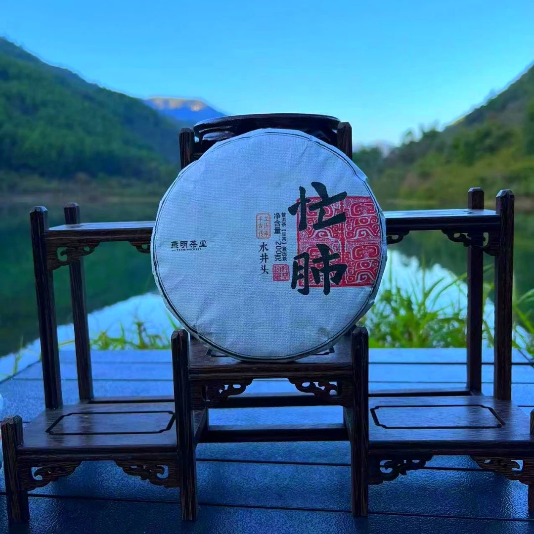 【忙肺水井头】2021年忙肺水井头普洱茶（生茶）臻选紧压茶200g