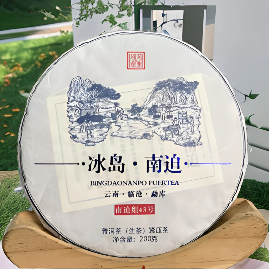 【冰岛五寨之南迫】2023年冰岛南迫古树头春普洱茶（生茶）>紧压茶