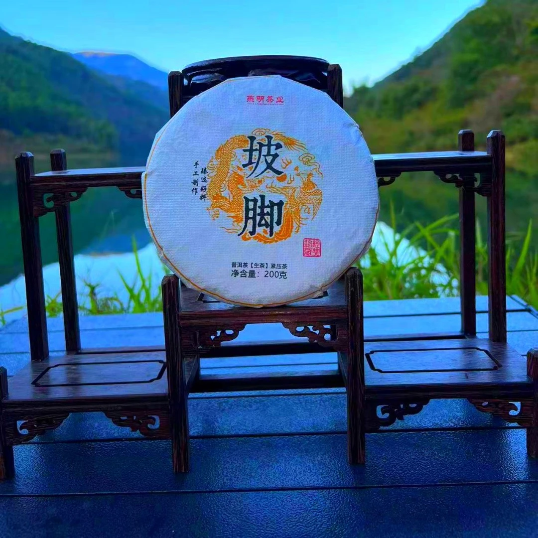 【头春头采】2021年坡脚普洱茶（生茶）紧压茶200g手工压制