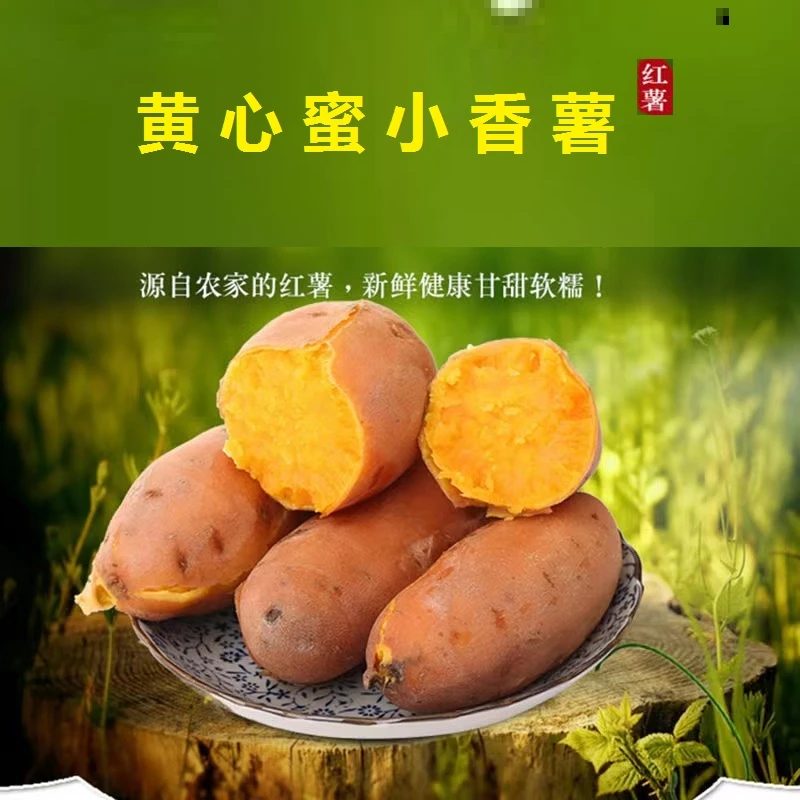 【5斤7.8元】开封黄河滩沙地黄心蜜小香薯软糯烤蜜薯地瓜红薯5斤