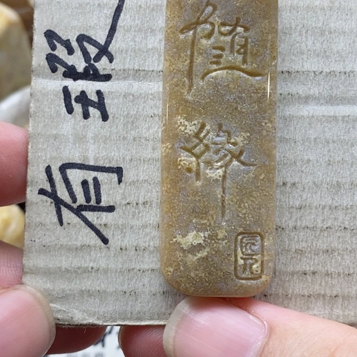 硅化珊瑚（珊瑚玉）颈饰未镶嵌