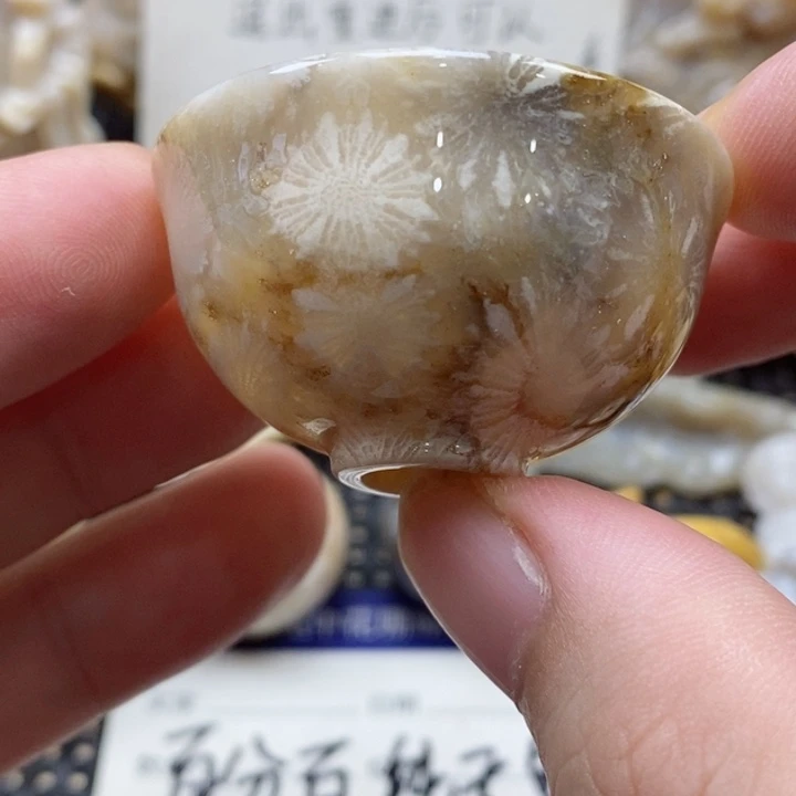 硅化珊瑚（珊瑚玉）颈饰未镶嵌