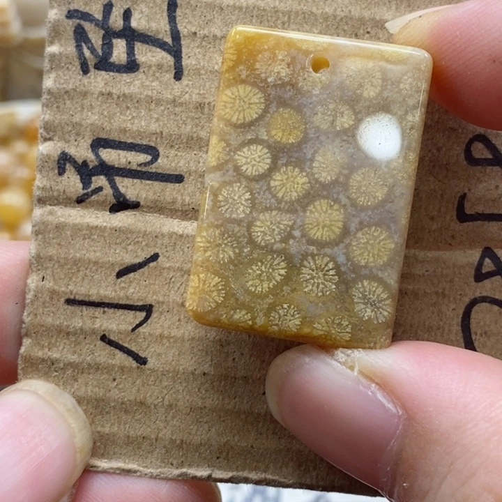 硅化珊瑚（珊瑚玉）颈饰未镶嵌