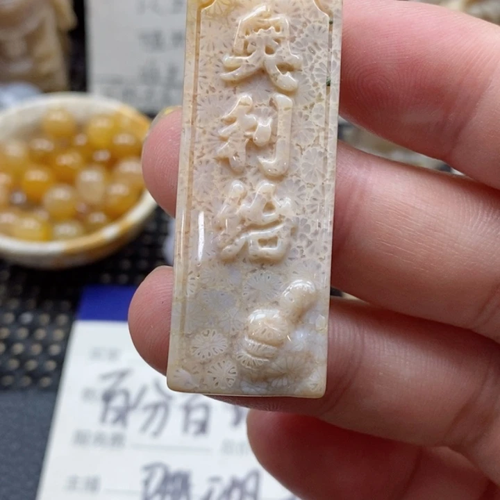 硅化珊瑚（珊瑚玉）颈饰未镶嵌