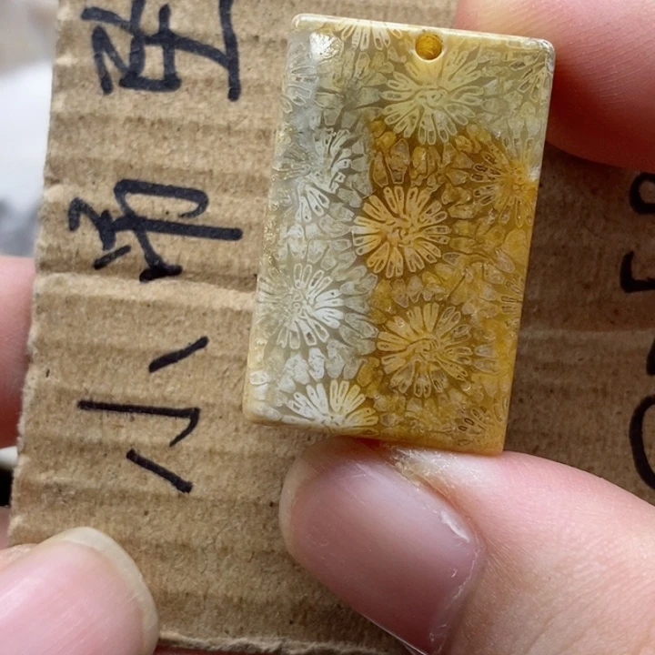 硅化珊瑚（珊瑚玉）颈饰未镶嵌