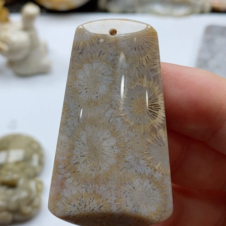 硅化珊瑚（珊瑚玉）颈饰未镶嵌