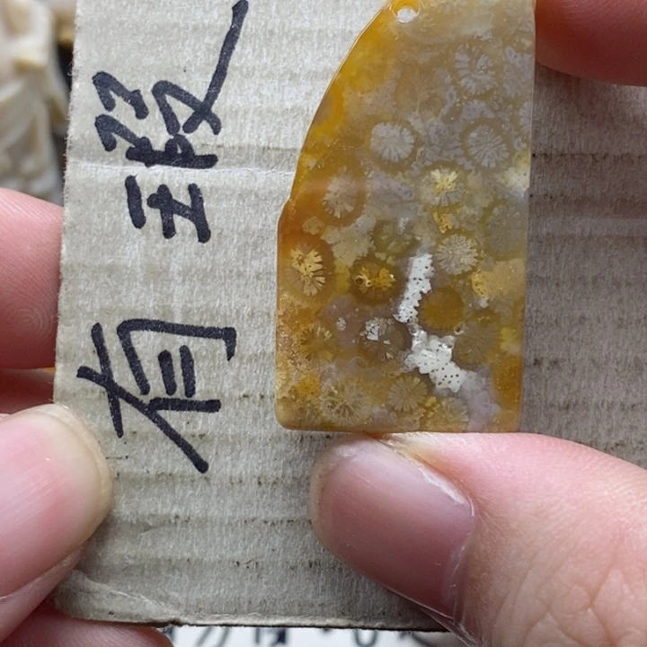 硅化珊瑚（珊瑚玉）颈饰未镶嵌毛*豆