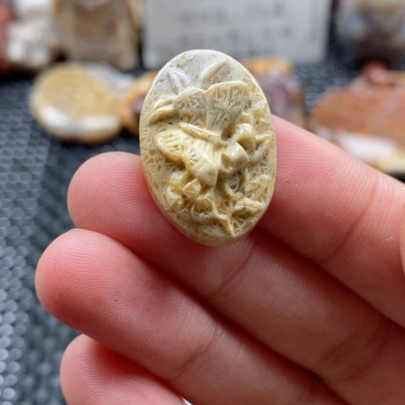 【闪购商品】硅化珊瑚（珊瑚玉）颈饰未镶嵌艺****）