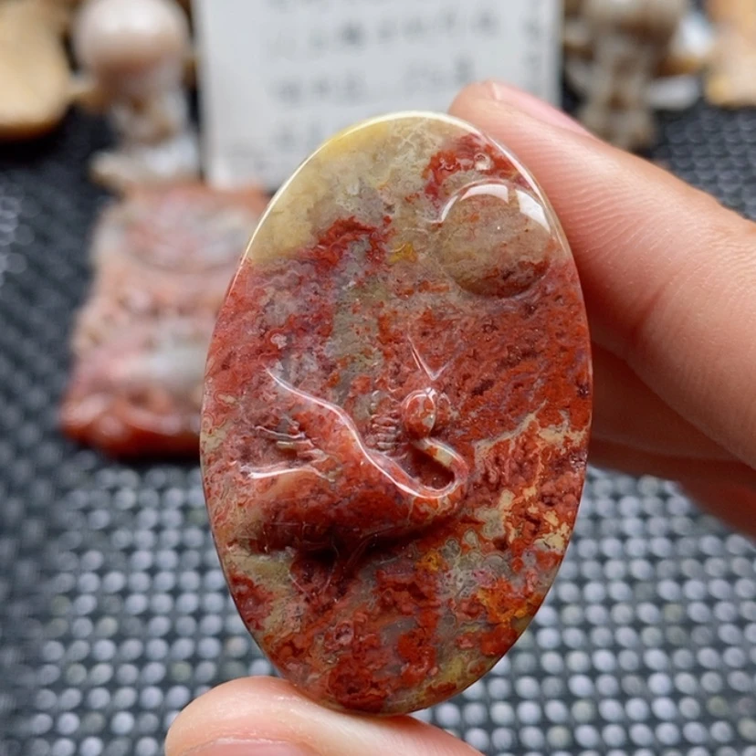 【闪购商品】硅化珊瑚（珊瑚玉）颈饰未镶嵌