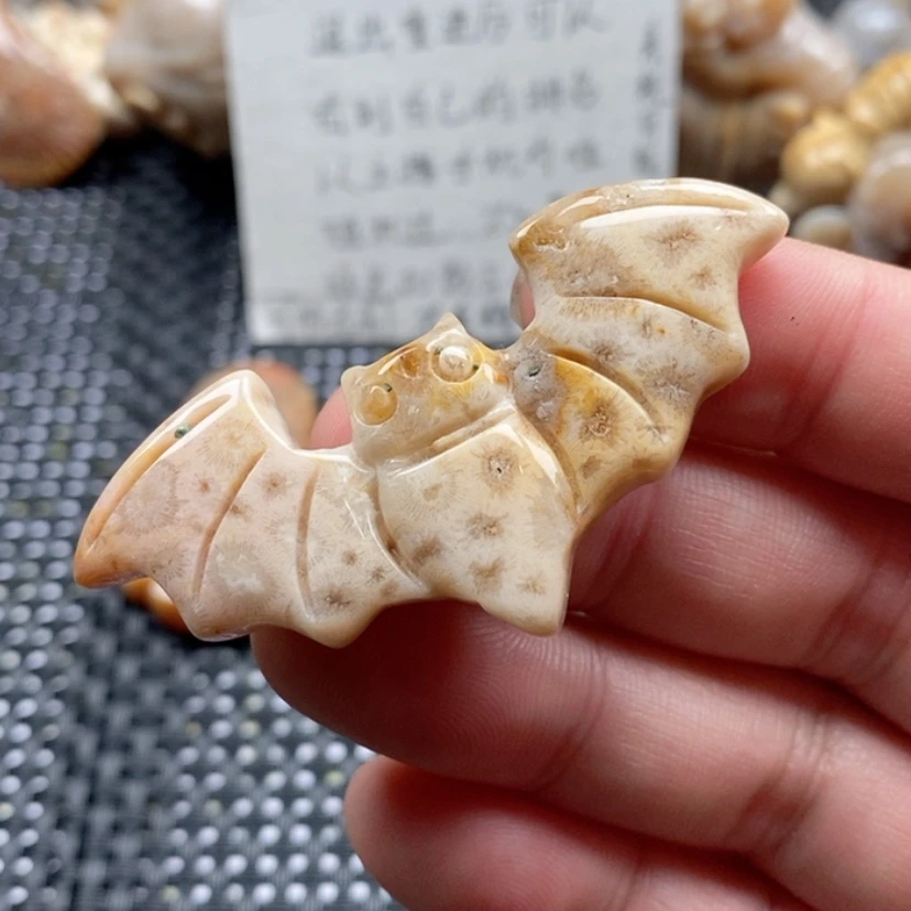 【闪购商品】硅化珊瑚（珊瑚玉）颈饰未镶嵌毛****晶